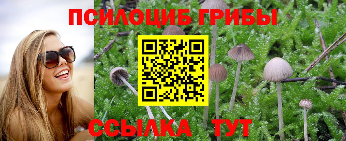 Галлюциногенные грибы ЛСД  Вход с VPN  Галлюциногенные грибы прущие грибы  цены   Саров 