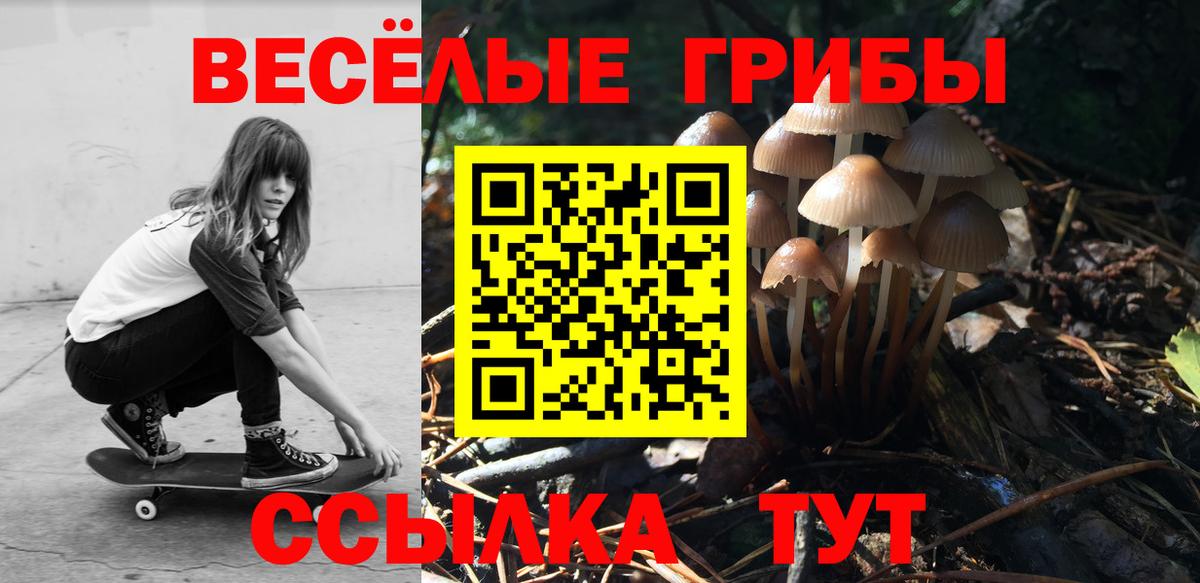 Псилоцибиновые грибы мицелий Саров